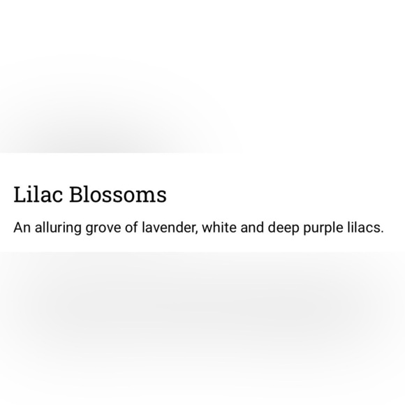 YANKEE Lilac Blossoms 22 oz. CANDLE RARE 
SCENT - Picture 5 of 6